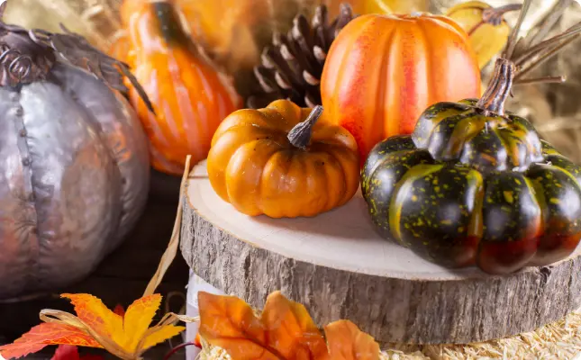 Décorations d'automne effrayantes pour Halloween