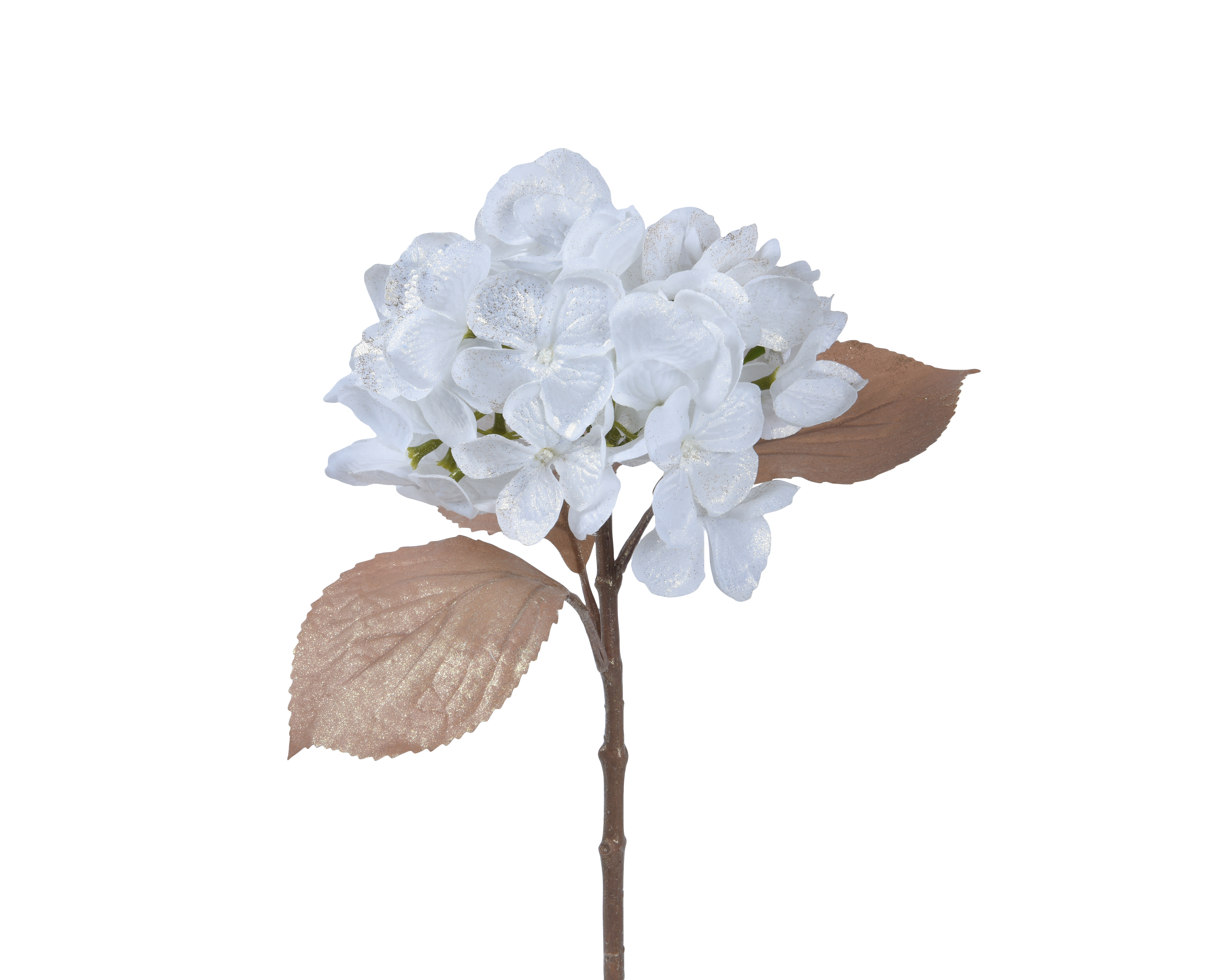 Hortensia FLOWERS