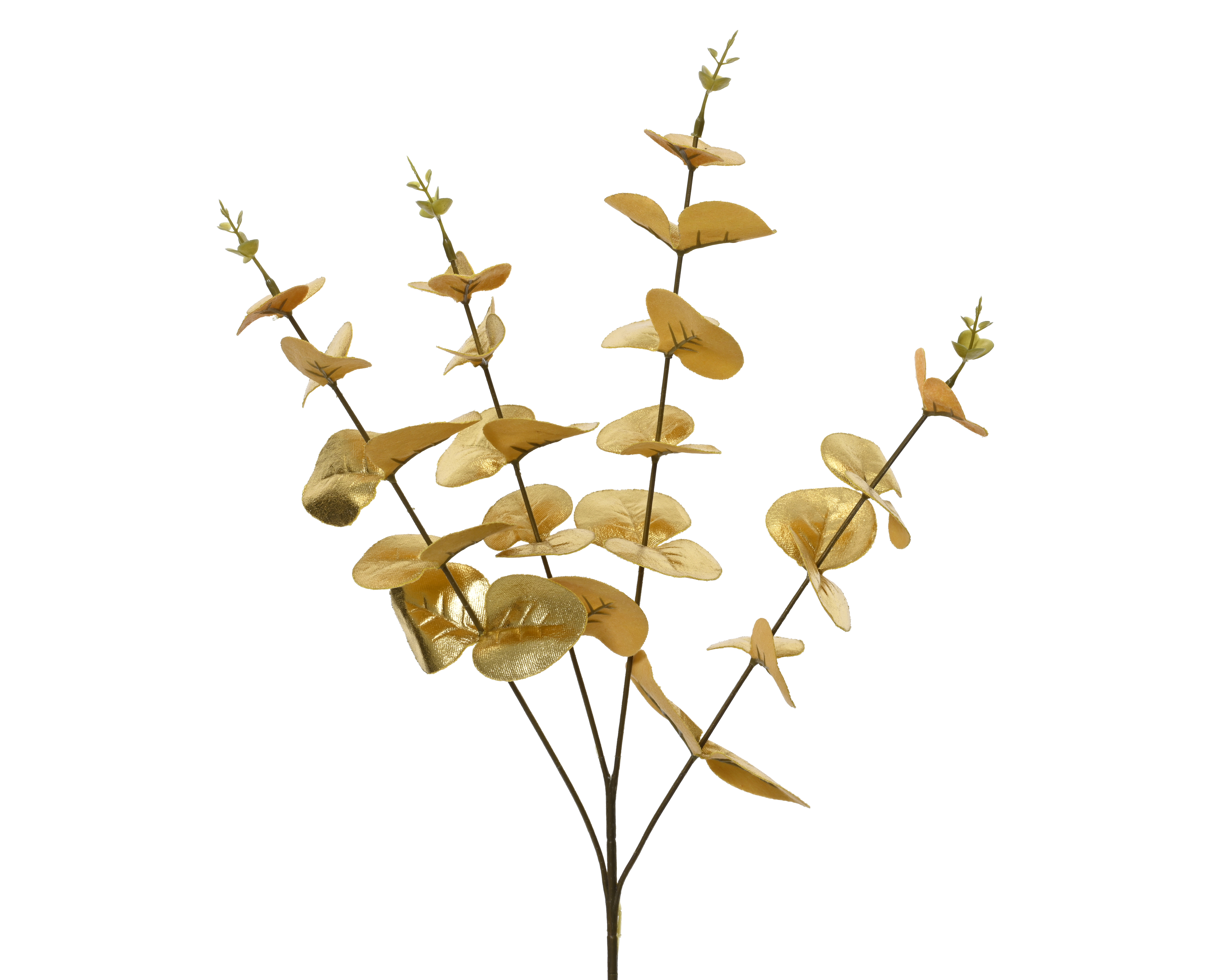 Branche d'eucalyptus FLOWERS