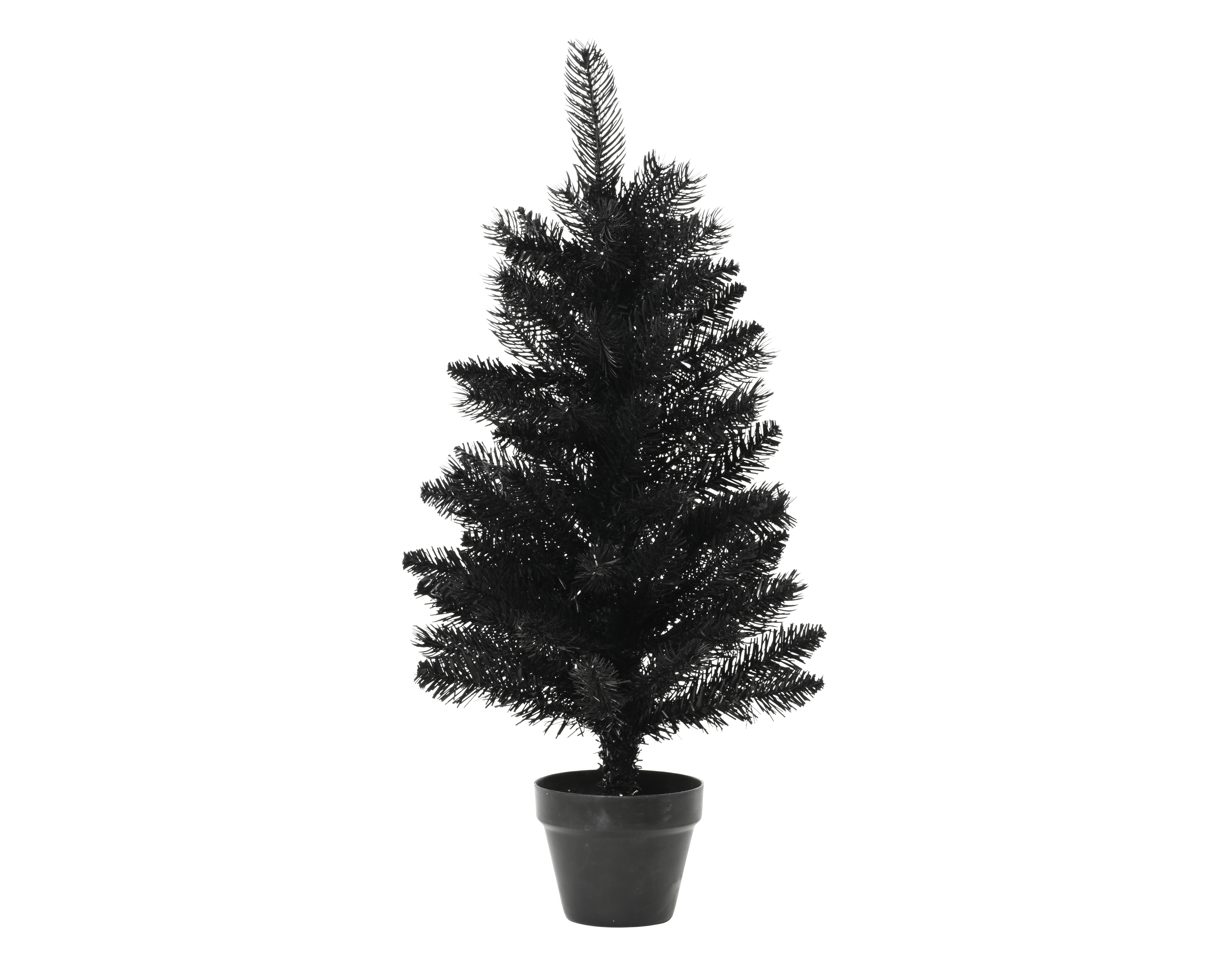 Mini sapin en pot 60 cm BERLIN